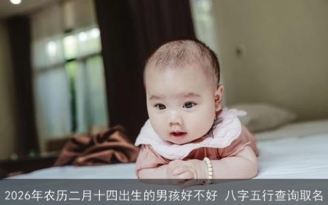 2026年农历二月十四出生的男孩好不好 八字五行查询取名