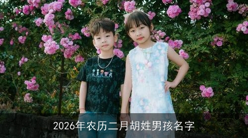 2026年农历二月胡姓男孩名字