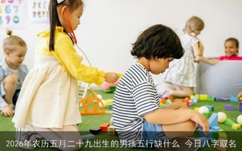 2026年农历五月二十九出生的男孩五行缺什么 今日八字取名