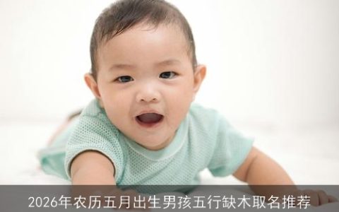 2026年农历五月出生男孩五行缺木取名推荐