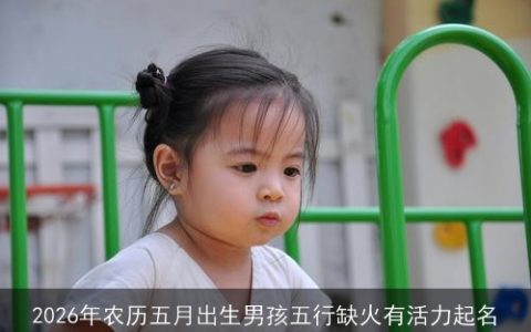 2026年农历五月出生男孩五行缺火有活力起名