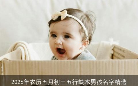 2026年农历五月初三五行缺木男孩名字精选