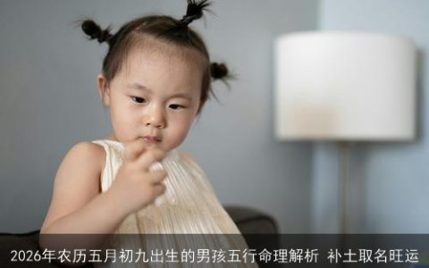 2026年农历五月初九出生的男孩五行命理解析 补土取名旺运