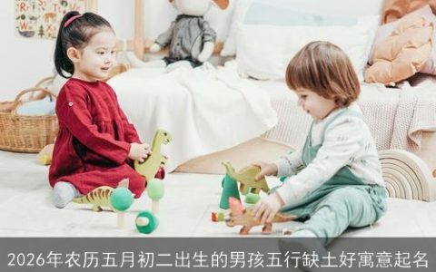 2026年农历五月初二出生的男孩五行缺土好寓意起名