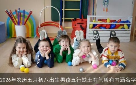 2026年农历五月初八出生男孩五行缺土有气质有内涵名字
