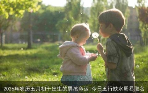 2026年农历五月初十出生的男孩命运 今日五行缺水周易取名