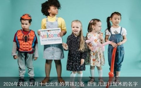 2026年农历五月十七出生的男孩起名 新生儿五行属木的名字