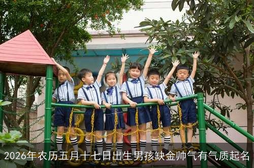 2026年农历五月十七日出生男孩缺金帅气有气质起名