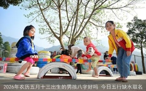 2026年农历五月十三出生的男孩八字好吗 今日五行缺水取名
