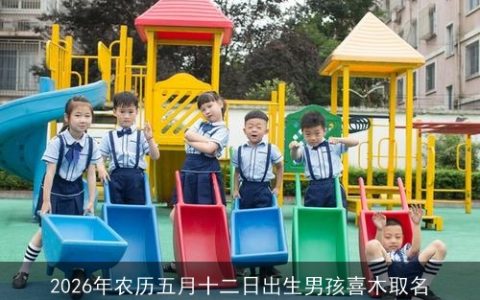 2026年农历五月十二日出生男孩喜木取名