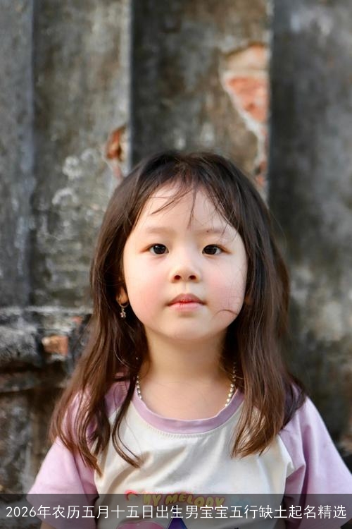 2026年农历五月十五日出生男宝宝五行缺土起名精选