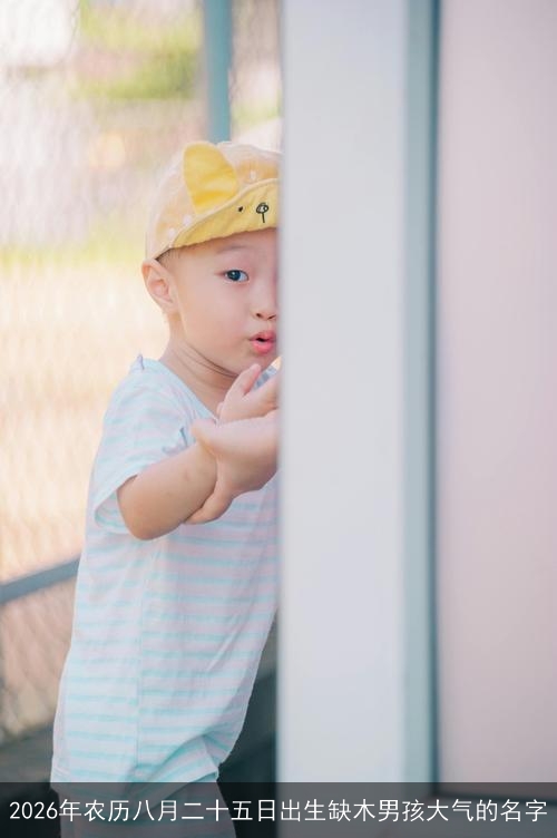 2026年农历八月二十五日出生缺木男孩大气的名字