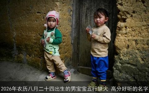 2026年农历八月二十四出生的男宝宝五行缺火 高分好听的名字