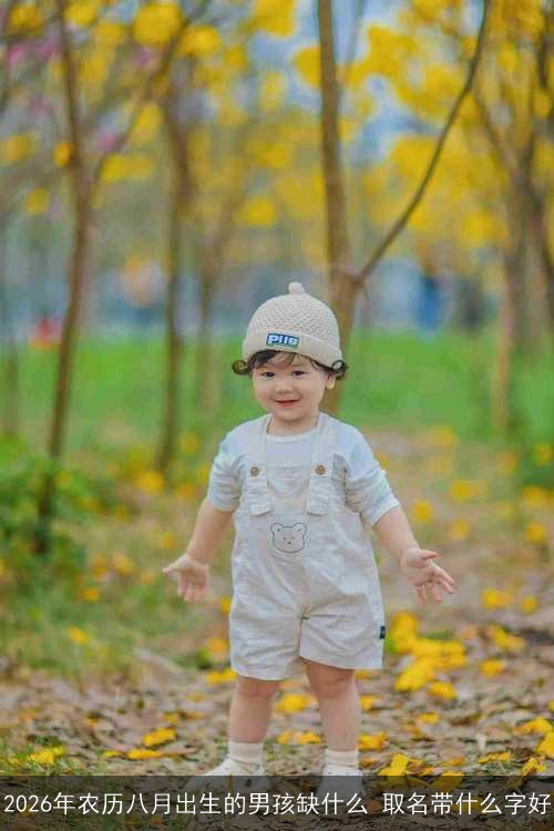 2026年农历八月出生的男孩缺什么 取名带什么字好