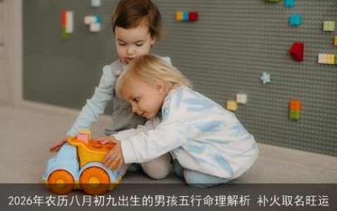 2026年农历八月初九出生的男孩五行命理解析 补火取名旺运