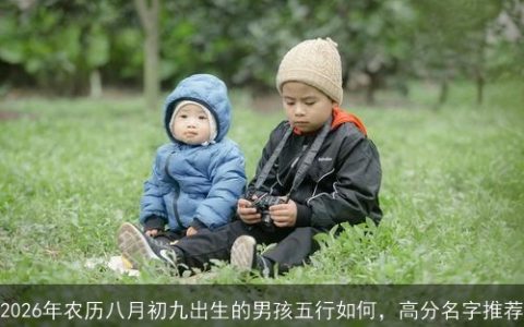 2026年农历八月初九出生的男孩五行如何，高分名字推荐