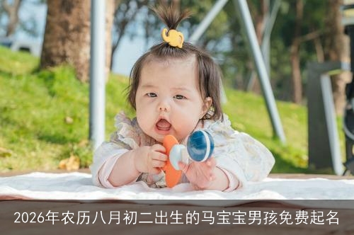 2026年农历八月初二出生的马宝宝男孩免费起名