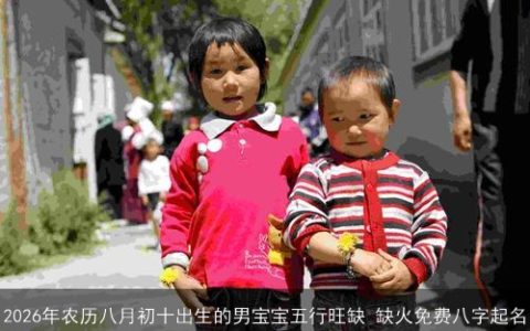 2026年农历八月初十出生的男宝宝五行旺缺 缺火免费八字起名