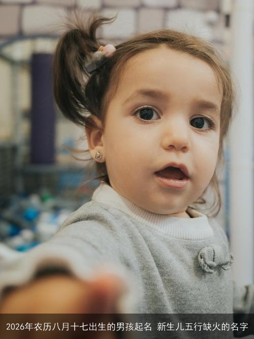 2026年农历八月十七出生的男孩起名 新生儿五行缺火的名字