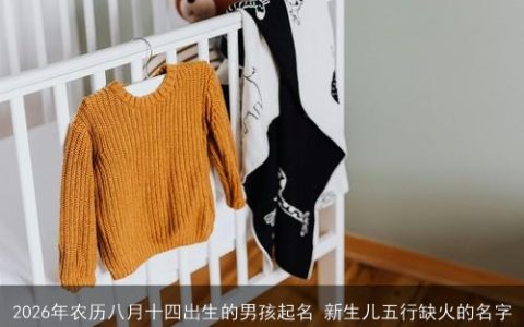 2026年农历八月十四出生的男孩起名 新生儿五行缺火的名字