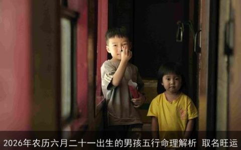 2026年农历六月二十一出生的男孩五行命理解析 取名旺运
