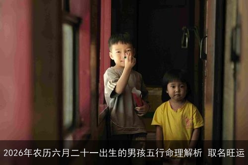 2026年农历六月二十一出生的男孩五行命理解析 取名旺运