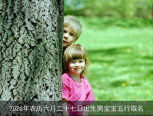 2026年农历六月二十七日出生男宝宝五行取名