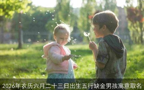 2026年农历六月二十三日出生五行缺金男孩寓意取名