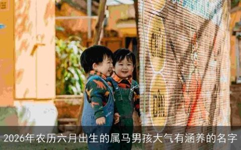 2026年农历六月出生的属马男孩大气有涵养的名字