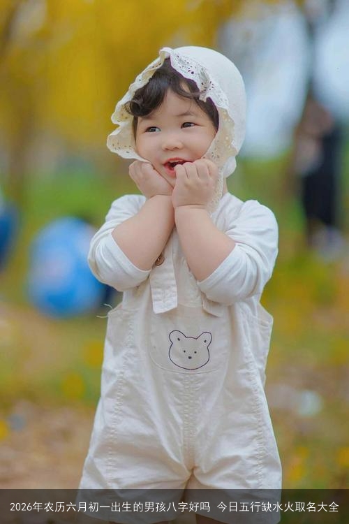 2026年农历六月初一出生的男孩八字好吗 今日五行缺水火取名大全