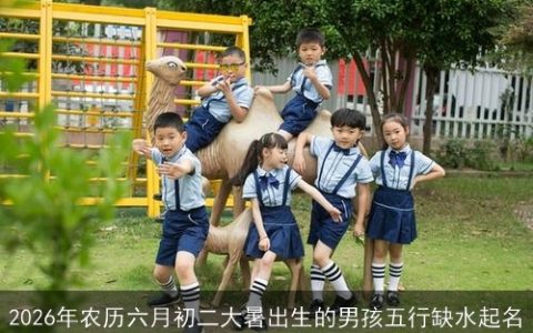 2026年农历六月初二大暑出生的男孩五行缺水起名