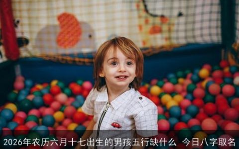 2026年农历六月十七出生的男孩五行缺什么 今日八字取名