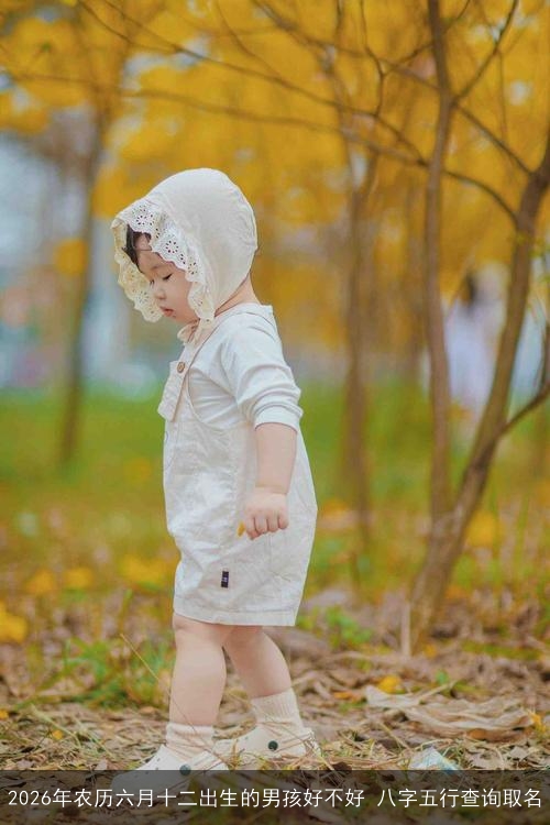 2026年农历六月十二出生的男孩好不好 八字五行查询取名