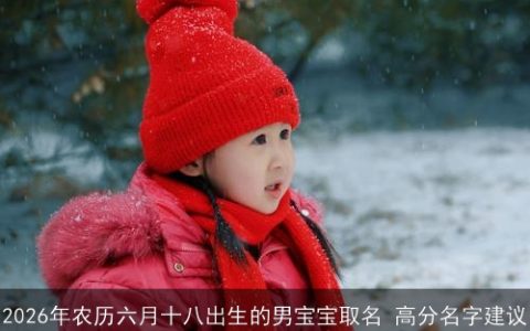 2026年农历六月十八出生的男宝宝取名 高分名字建议