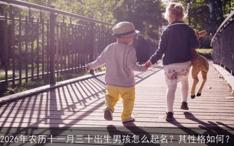 2026年农历十一月三十出生男孩怎么起名？其性格如何？