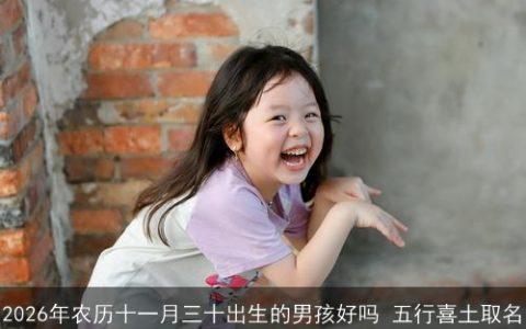 2026年农历十一月三十出生的男孩好吗 五行喜土取名