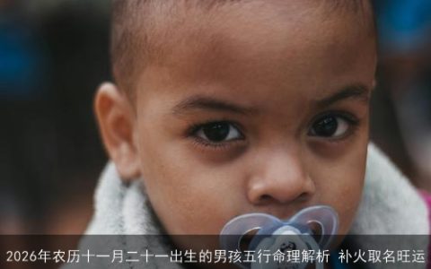 2026年农历十一月二十一出生的男孩五行命理解析 补火取名旺运
