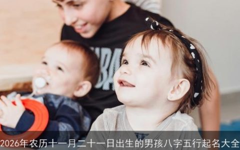 2026年农历十一月二十一日出生的男孩八字五行起名大全