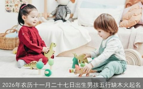 2026年农历十一月二十七日出生男孩五行缺木火起名