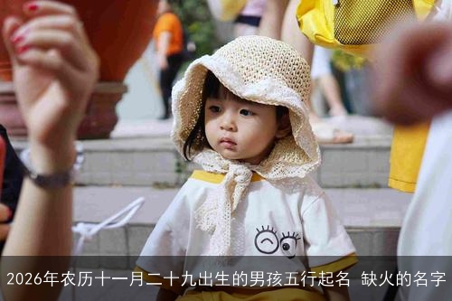 2026年农历十一月二十九出生的男孩五行起名 缺火的名字