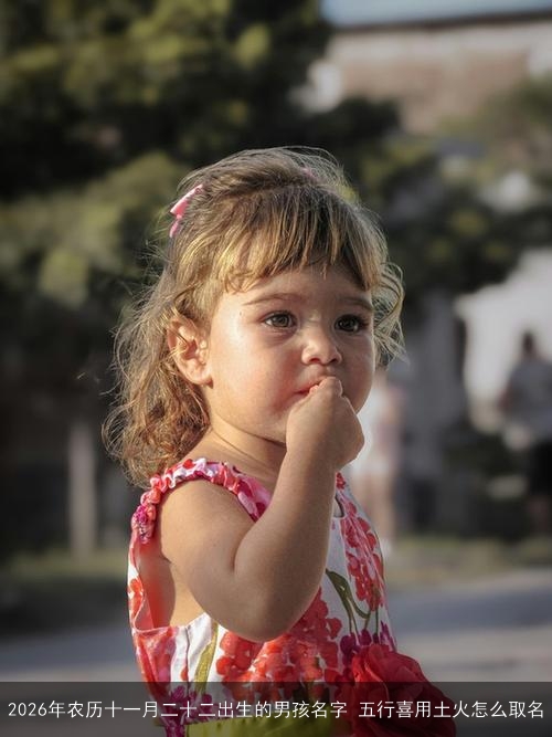 2026年农历十一月二十二出生的男孩名字 五行喜用土火怎么取名