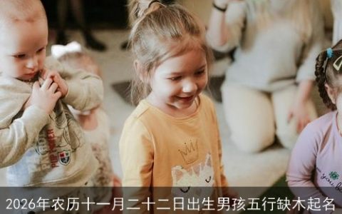 2026年农历十一月二十二日出生男孩五行缺木起名