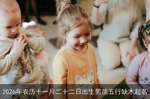 2026年农历十一月二十二日出生男孩五行缺木起名