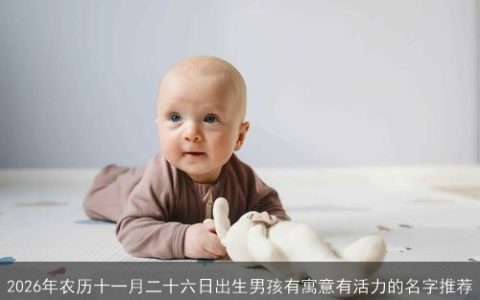 2026年农历十一月二十六日出生男孩有寓意有活力的名字推荐