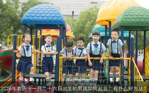 2026年农历十一月二十六日出生的男孩如何起名？有什么好方法？