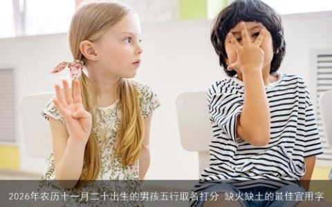 2026年农历十一月二十出生的男孩五行取名打分 缺火缺土的最佳宜用字