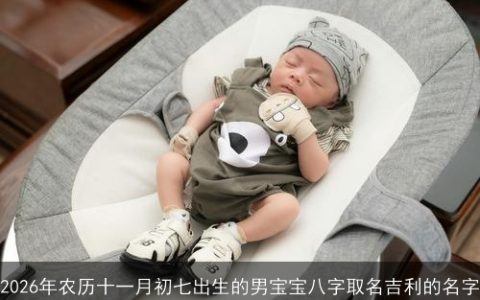 2026年农历十一月初七出生的男宝宝八字取名吉利的名字