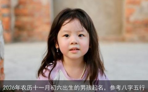 2026年农历十一月初六出生的男孩起名，参考八字五行
