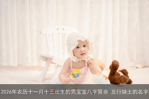 2026年农历十一月十三出生的男宝宝八字算命 五行缺土的名字
