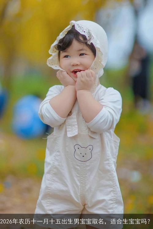 2026年农历十一月十五出生男宝宝取名，适合生宝宝吗？